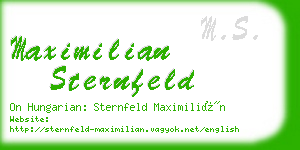 maximilian sternfeld business card